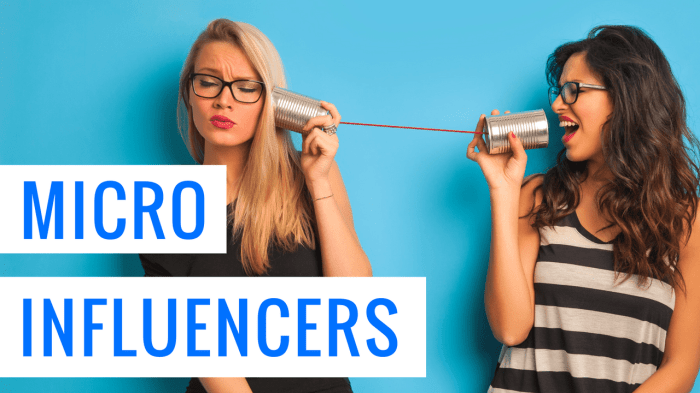 Using Micro-Influencers in Marketing